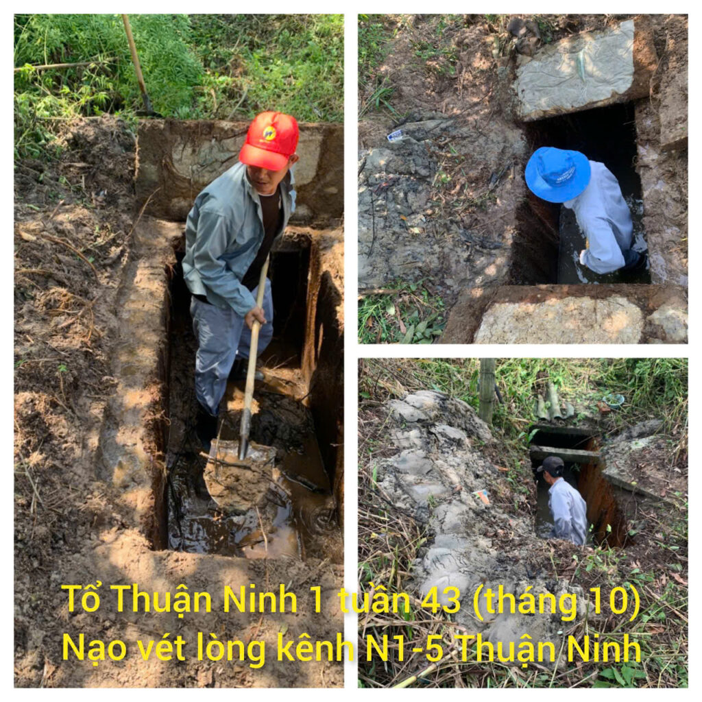 tt06 t 42 t43 thang 10 2025 2