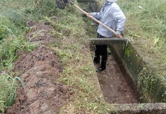 tt06 t 42 t43 thang 10 2025 3 e1761530146927