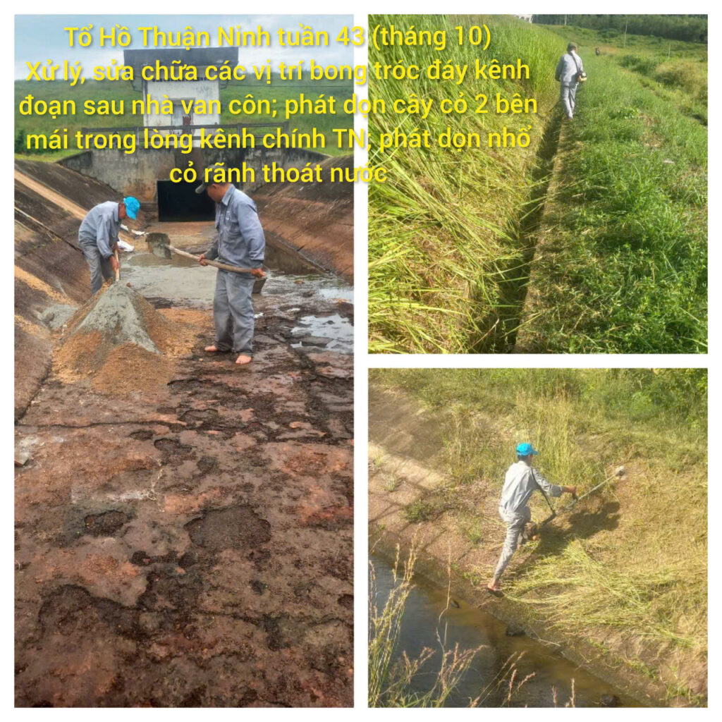 tt06 t 42 t43 thang 10 2025 5