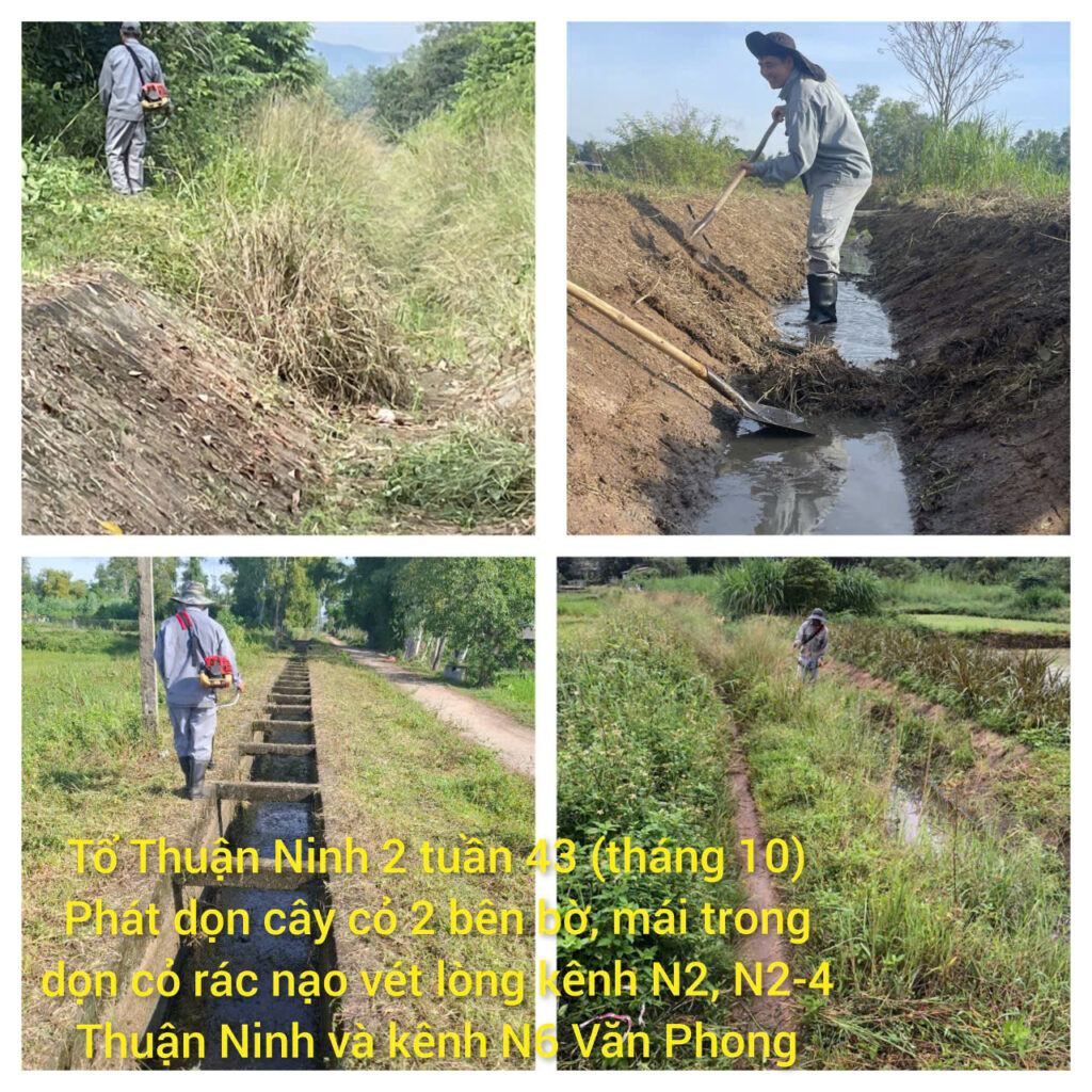 tt06 t 42 t43 thang 10 2025 6