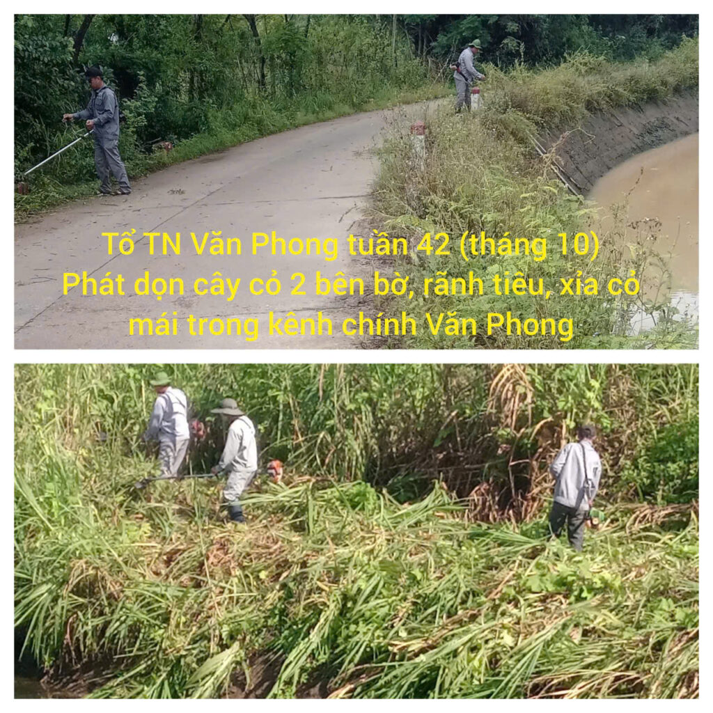 z7159042919354 979e84d51505970e5ceb2fb86c95e1fe