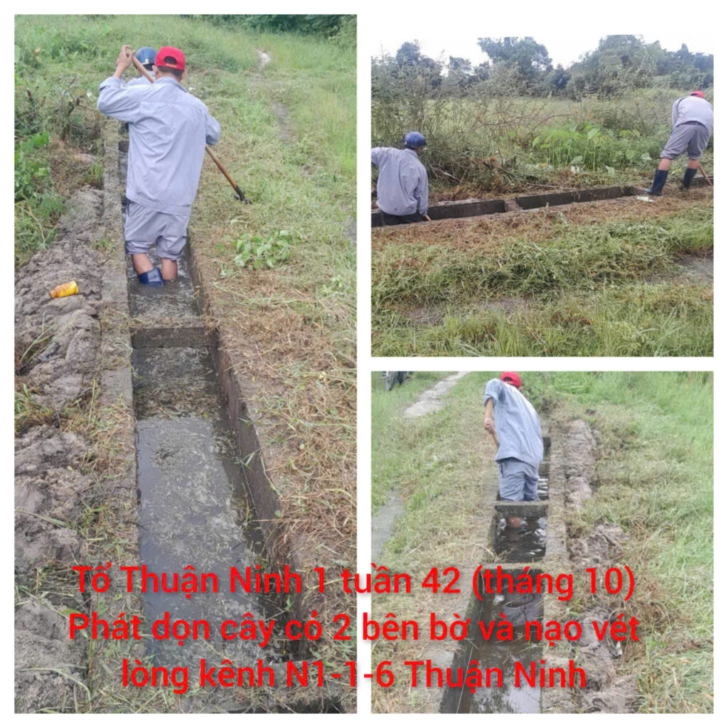 z7159042931883 d964692cad5042f0085249114c6b0040