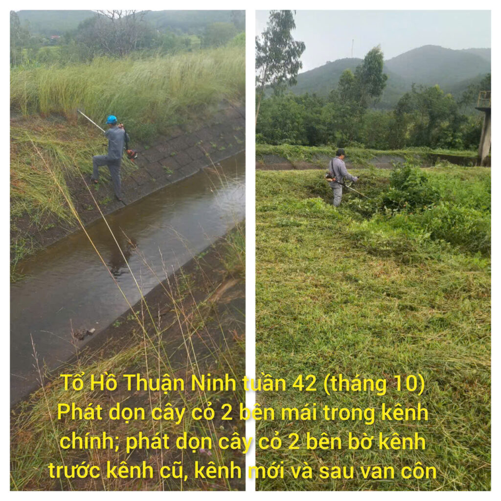 z7159042936016 81c2f120a6017efe8439e496a35fc4f5