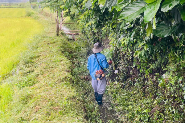 z7171030996340 400bc60be34c52b53eae9711498de868