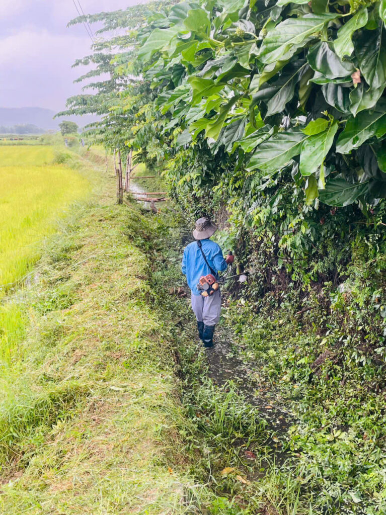 z7171030996340 400bc60be34c52b53eae9711498de868