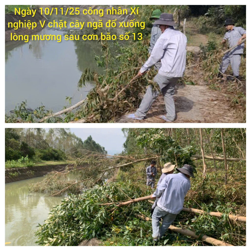 z7218718797896 27e7bdd0e04898a35d68b6f429e96317