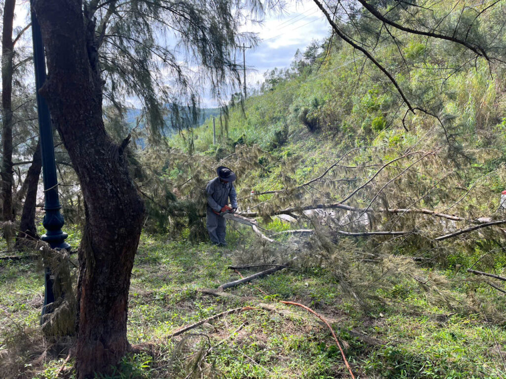 z7222006312254 83e7cc391d4f461e4ad916d081c30da2