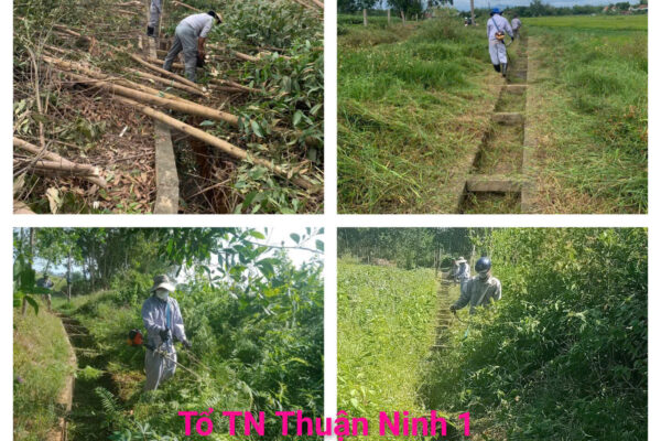 z7288118153981 8cd25006b7934b45287b27effc537b02