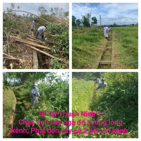 z7288118153981 8cd25006b7934b45287b27effc537b02